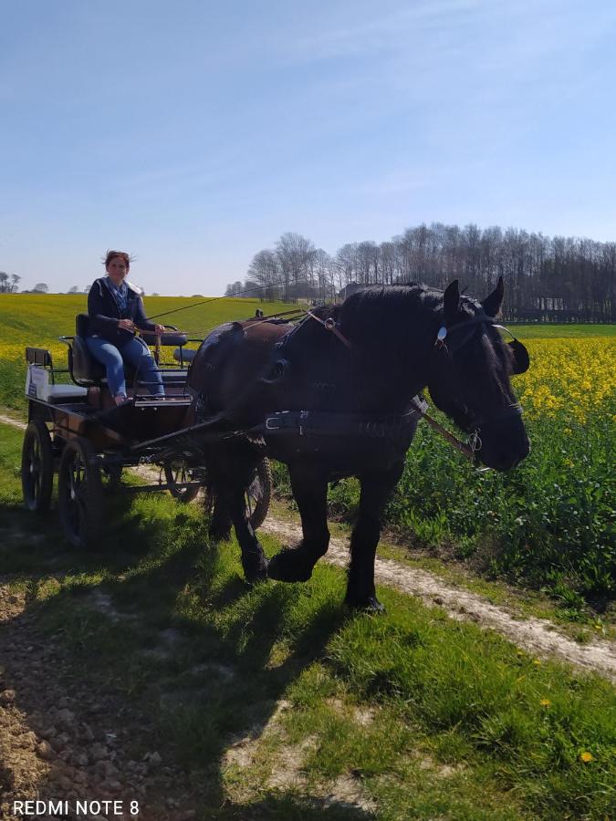Veritable Roulotte Hippomobile "La Bailleul" Mentheville Luaran gambar